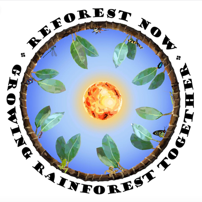 Reforest NoW